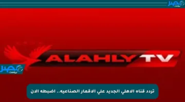 تردد قناة الأهلي الجديد على الأقمار الصناعية.. اضبطه الآن